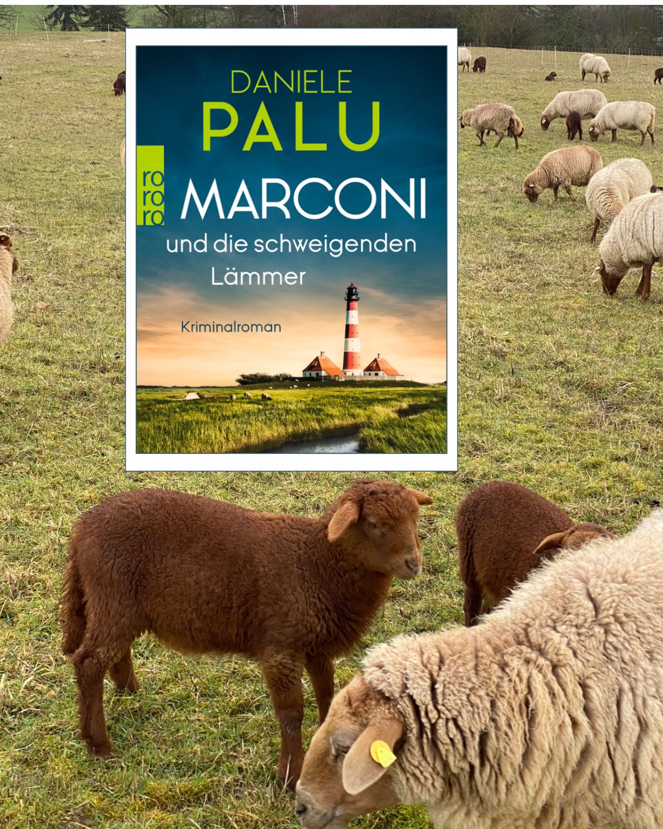 Der 3. Fall von Kommissar Marconi erscheint heute im Buchhandel. Wieder einmal ein spannender Krimi, der Marconi sowohl privat, als auch beruflich einiges abverlangt. 
🐑 In der norddeutschen Provinz geht es um einen Toten im Schafstrog, Schafe die im Leuchten und eine interessante Unweltthematik, die mir so noch nicht bewusst war. Marconi ist mir mittlerweile ans Herz gewachsen und der Fall ist vielschichtig. Ein echtes Lesevergnügen.
🐑 Meine Rezension könnt ihr auf dem Blog nachlesen.
Vielen Dank an @daniel_e_palu und @rowohltverlag für das Leseexemplar.

#danielepalu #kommissarmarconi #cozycrime #buchempfehlung