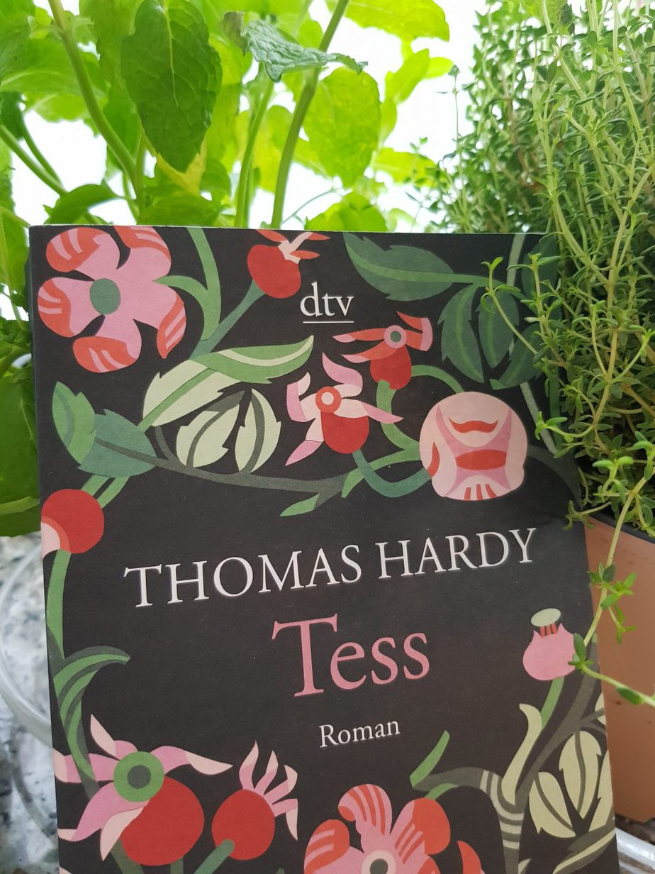 Buchcover Tess Thomas Hardy