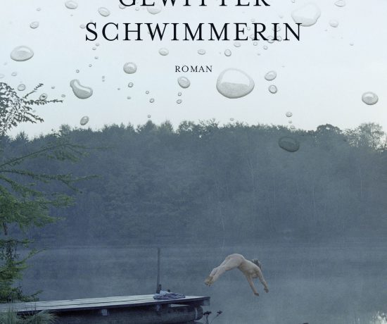 Cover von die Gewitterschwimmerin
