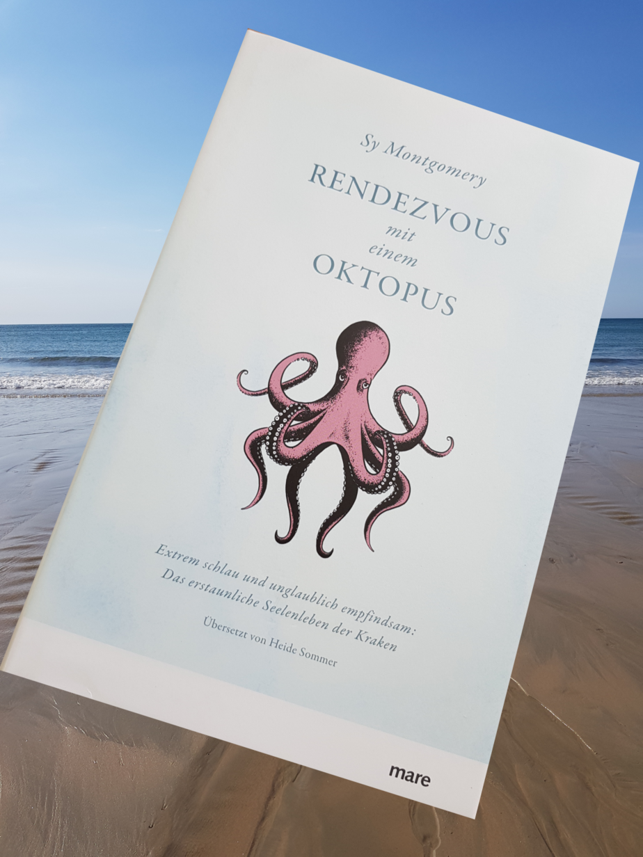 coverbild rendezvous mit einem Oktopus