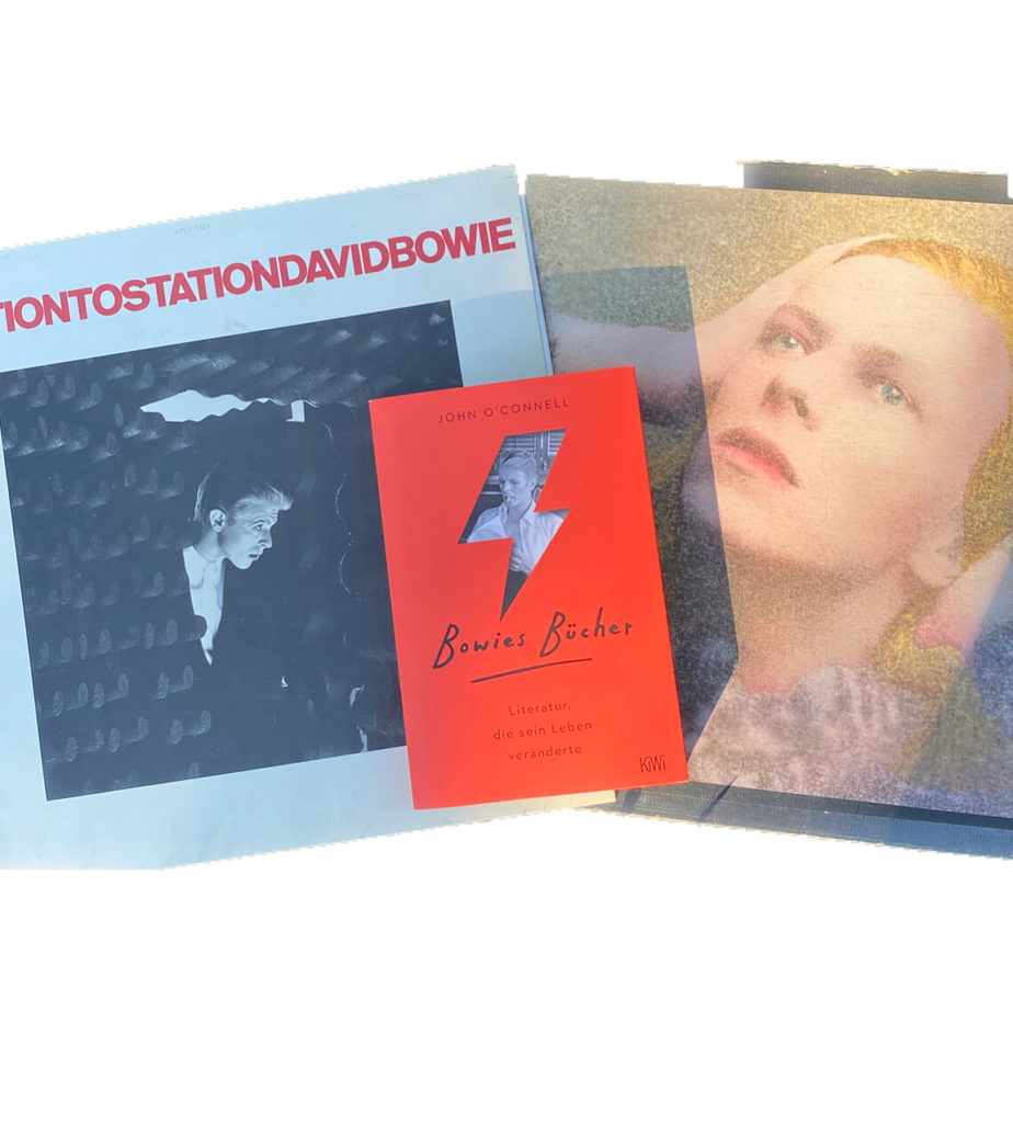 Buchcover Bowies Bücher